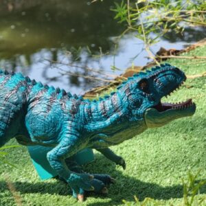 ASTRAGALUS GIGANOTOSAURUS