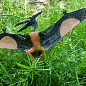 FLYING PTEROSAURS