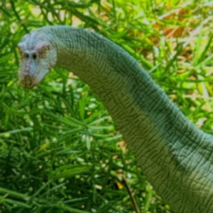 OMEISAURUS VERDE
