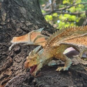 DRAGÓN DORADO